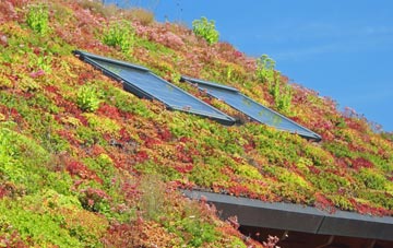 Ogbourne St Andrew living roof systems